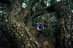 BIB: 
                            <button type="button" onclick="openModal(25392522)" class="btn btn-primary btn-sm float-right btn-popup" data-toggle="modal" data-target=".modal-high-quality">
                        <i class="fas fa-shopping-cart"></i> Add to Cart
                    </button>
                                            <button type="button" onclick="isThisMe(25392522, true)" class="btn btn-success btn-sm float-right btn-popup btn-isme hidden" data-toggle="tooltip" data-placement="bottom" title="นี่คือรูปของคุณใช่ไหม คลิกที่นี่เพื่อเอาเข้าอัลบั้ม">
                        <i class="fas fa-plus"></i> Add to album
                    </button>
                    <button type="button" onclick="isThisMe(25392522, false)" class="btn btn-warning btn-sm float-right btn-popup btn-isnotme hidden">
                        <i class="fas fa-ban"></i> Remove from album
                    </button>